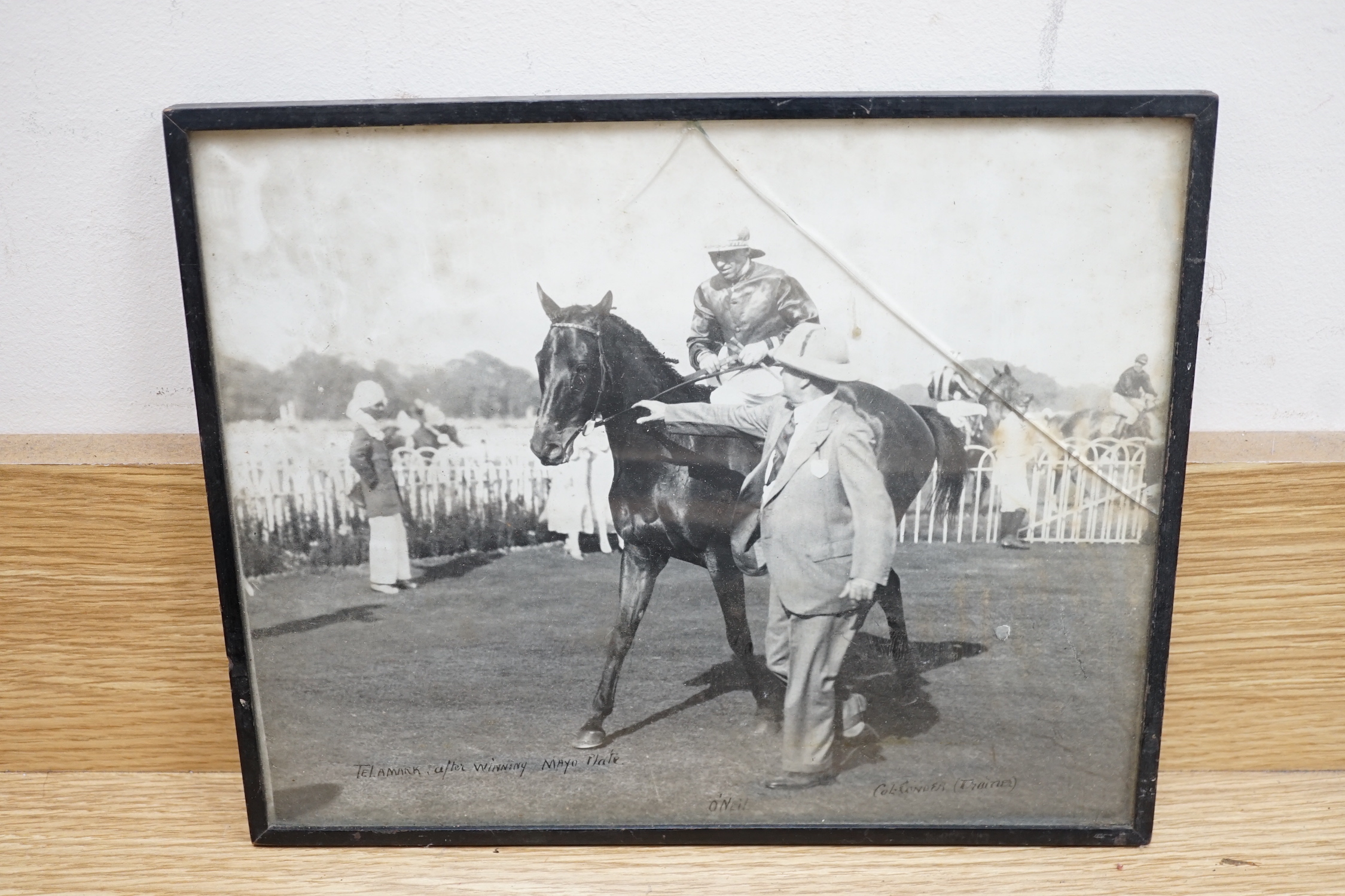 D M & E M Alderson, pair of watercolours, Portraits of racehorses c.1943/48 raced at Calcutta, together with a group of related photographs and ephemera, signed and dated, 38 x 52cm